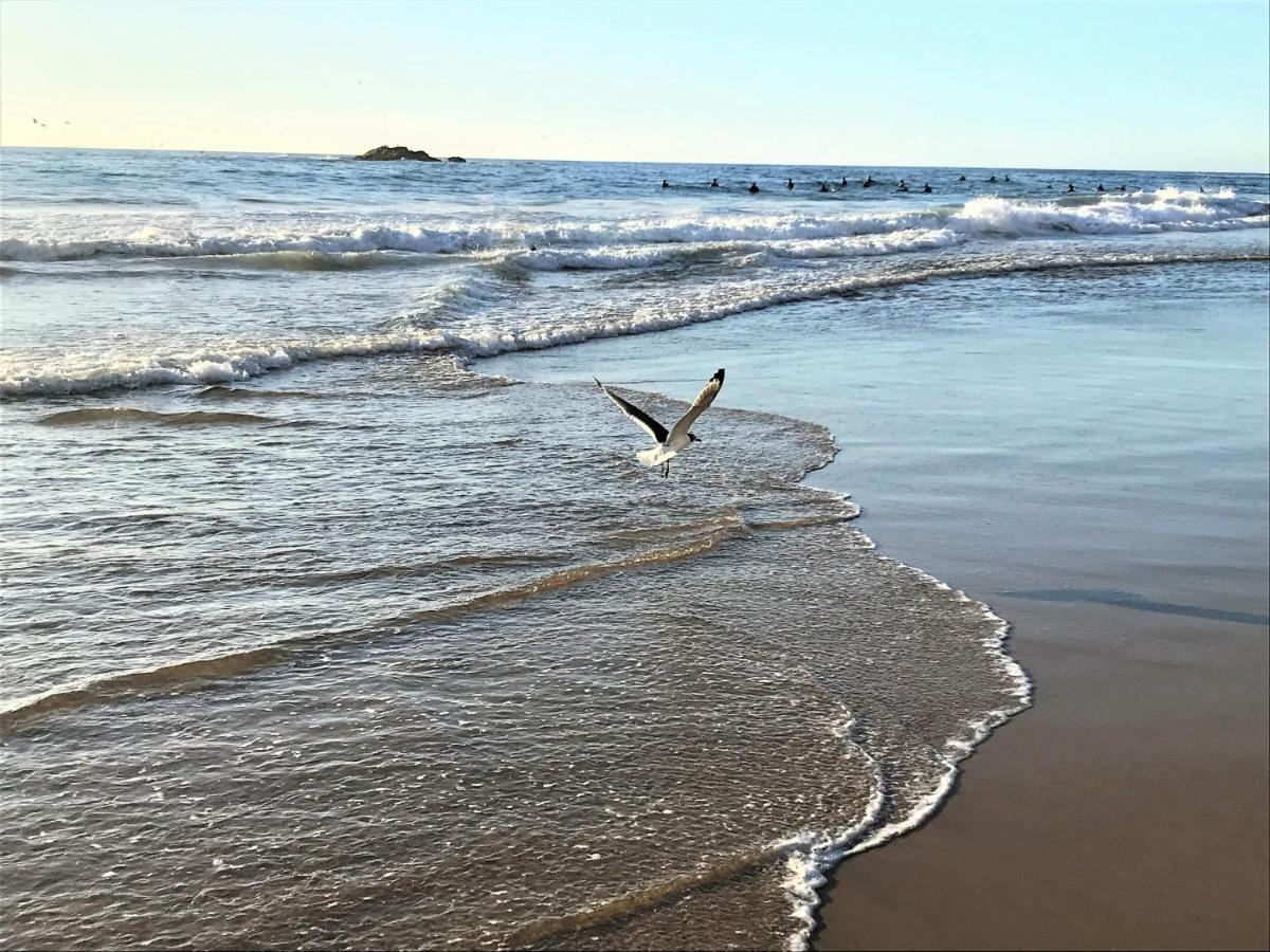 Concon Costa De Montemar Departamento, 3 Dormitorios Dış mekan fotoğraf