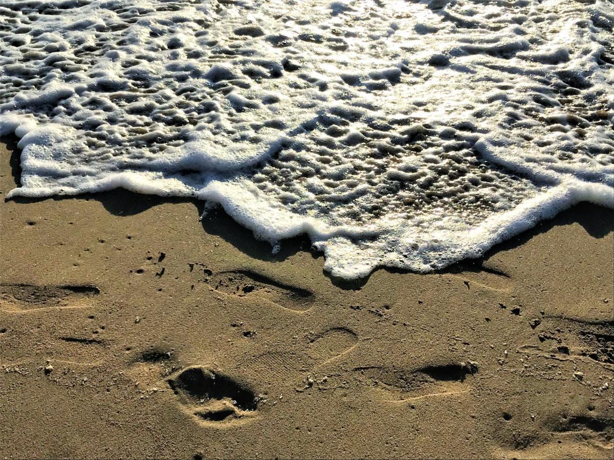 Concon Costa De Montemar Departamento, 3 Dormitorios Dış mekan fotoğraf